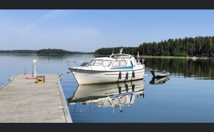 Albatross Flying 870-kuva-1